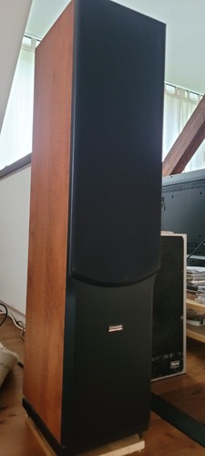 Dynaudio audience - audience, 62