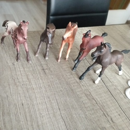 Konvolut fohlen schleich - fohlen,