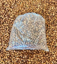 Californische 20 kg frisch