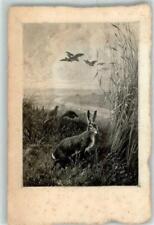 39435284 - Flugenten Hase