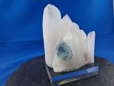 Fluorit (UV) auf Quarz (UV), Pasto Bueno Mine (1638)