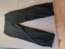 Icepeak Herren Skihose ICETEK