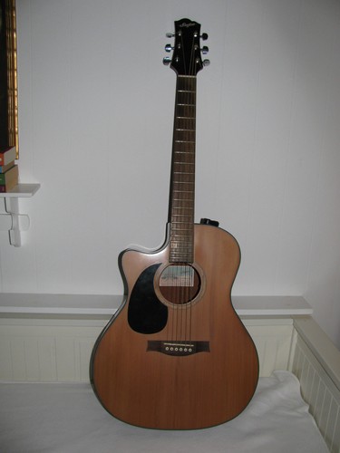 Gitarre stanford durango - gitarre,