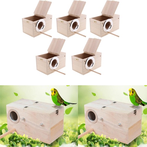 5er pack wellensittich sittich - pack,