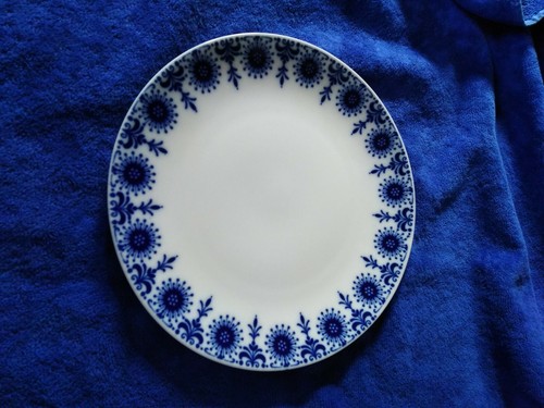 Winterling echt kobalt - winterling,