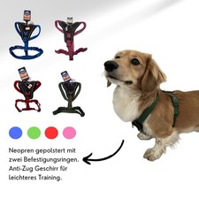 Hundegeschirr | verschiedene