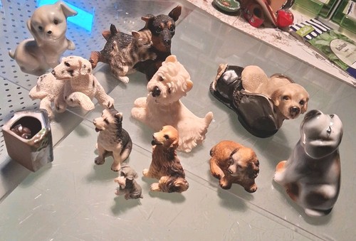 Konvolut verschiedene hunde - verschiedene,