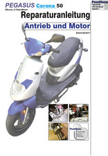 Reparaturanleitung RIS für