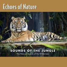Jungle Talk von Echoes of