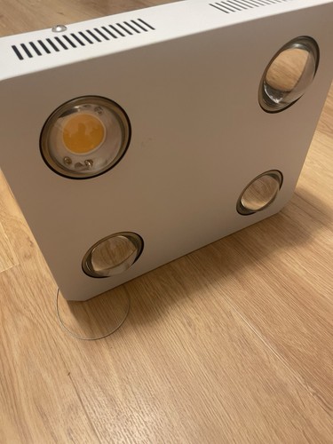 600 watt led - led, grow