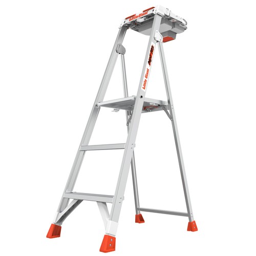 Little giant paint - little, pro