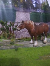 Modellpferd, collecta 