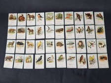 Antik Kartenspiele Tier