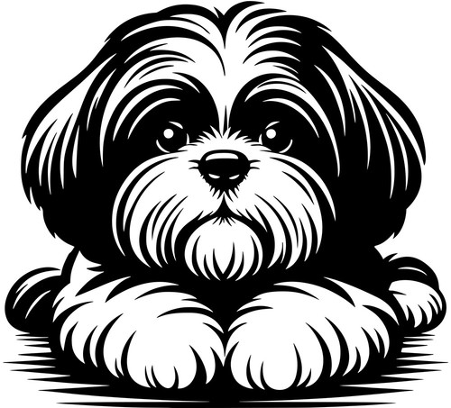 Shih tzu aufkleber - shih-tzu,