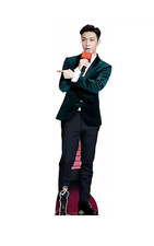 EXO Pappaufsteller - Lay |
