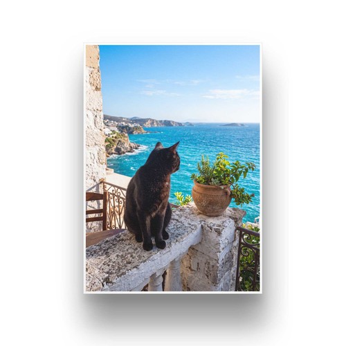 Katze meer kunstdruck - am,