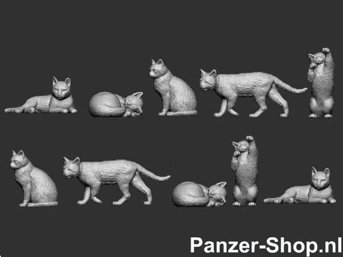 Spur katzen tiere - (h0),