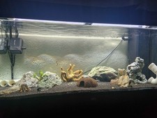 Aquarium 160L inkl