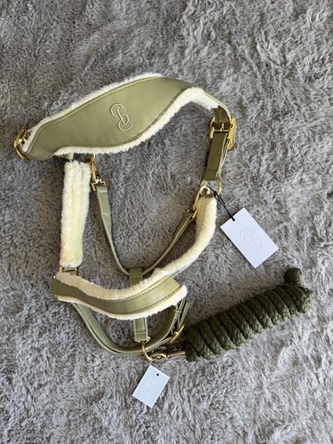 Sweden anatomisch - ps,