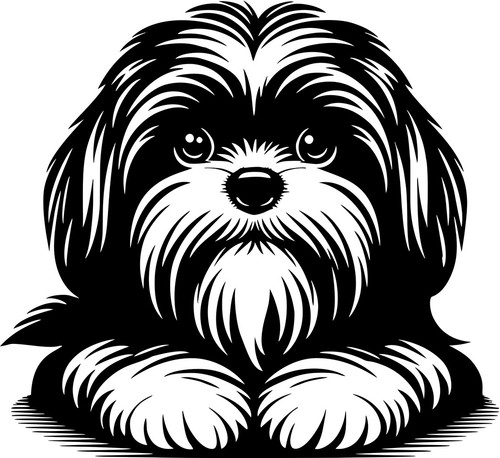 Shih tzu aufkleber - shih-tzu,