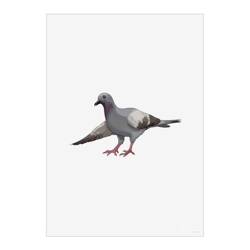 Bowing pigeon wall art - pigeon',