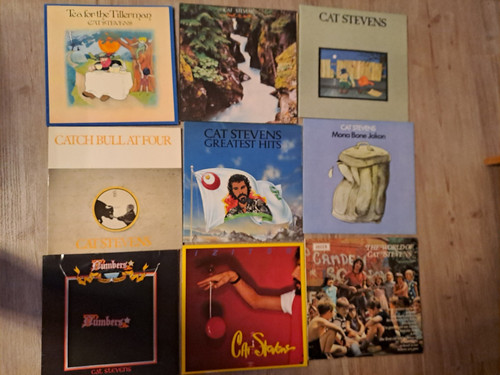 Sammlung cat stevens - cat, lp's