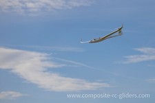 RC Scale Modellflugzeug DG-1001 3,6 m 