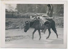 Foto Sinti und Roma auf Esel 2.WK (U941)