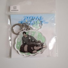 Attack on Titan Acryl