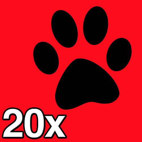Katzenpfoten wandtattoo - 20,