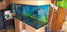 Aquarium 200L,+LED Beleuchtung,+Außenfilter,+Schläuche und UV Lampe