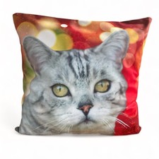 Deko Kissen mit Füllung Katze Britisch Kurzhaar Dekokissen samtig weich (RT)