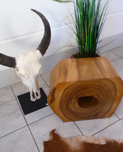 Objekthocker aus suar holz - objekthocker, suar-holz