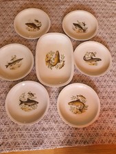 Arzberg Schumann Porzellan 6