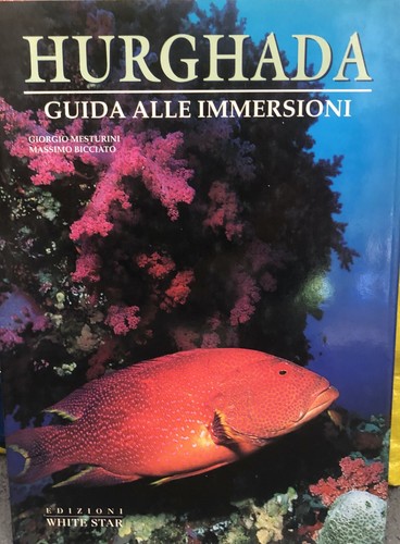 Hurghada tauchführer ägypten - hurghada,