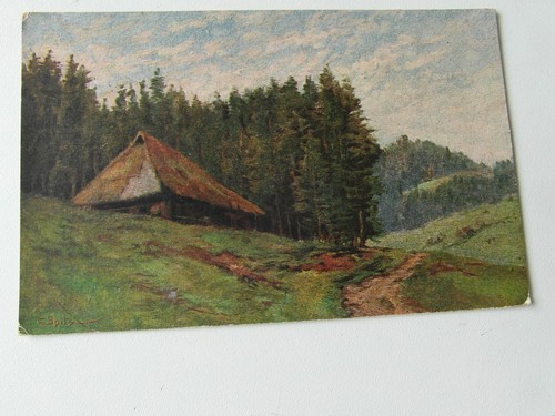 Schwarzwald - ak,