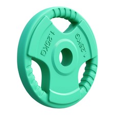 Hantelscheibe 30/31 mm Gummi