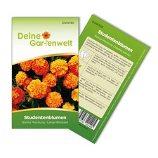 Studentenblumen Bonita Mischung Samen - Tagetes patula - Studentenblumensamen