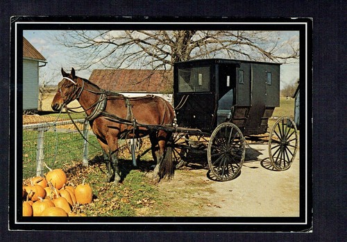 Usa 36ct amish farm in - usa:,