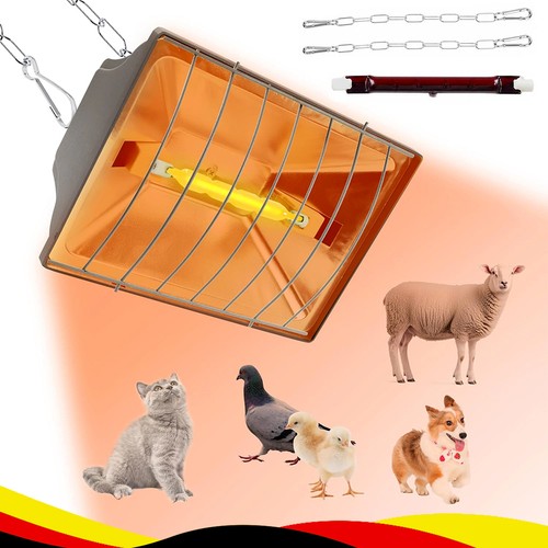 Wärmelampe für tieraufzucht - wärmelampe,