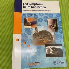 Leitsymptome beim Kaninchen
