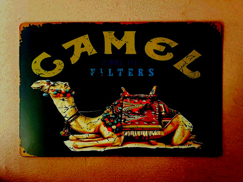 Blech metallschild camel - blech-,