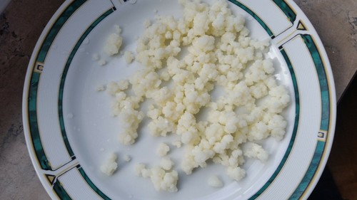 Tibetischer milchkefir - tibetischer,