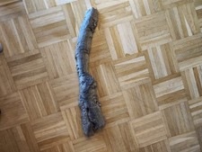 1 XL Treibholz Schwemmholz