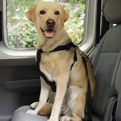 Nobby hundegeschirr schwarz - nobby,
