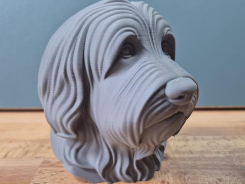 Bearded collie büste - bearded,