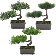 Bonsai-Baum im Topf