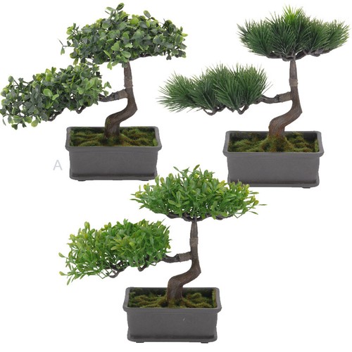 Bonsai baum topf - bonsai-baum, im