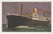 S8456/ Dampfer Holsatia  AK