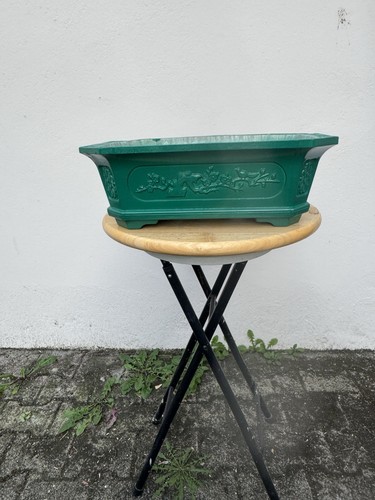 Bonsai prebonsai zement - bonsai/prebonsai,